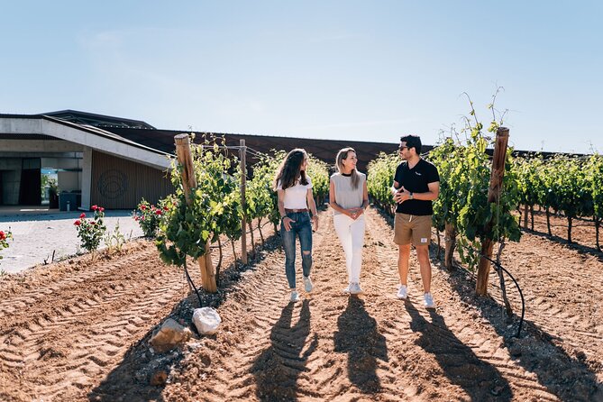Private Segovia & Ribera del Duero with Wine Tasting from Madrid - How to Get More Out of the Day