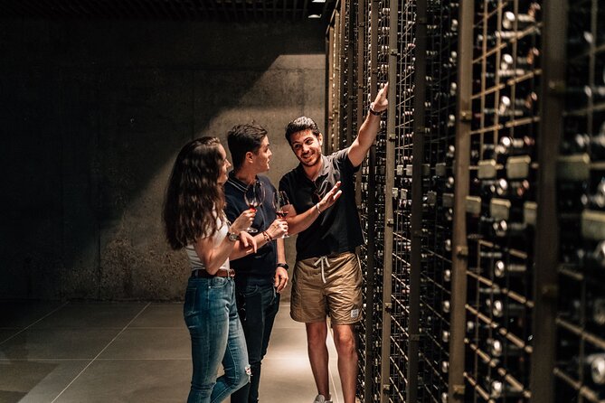 Private Segovia & Ribera del Duero with Wine Tasting from Madrid - Winery Visit in Ribera del Duero: Three Wines Plus Local Food