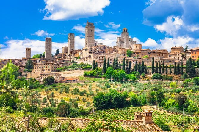 Private Siena San Gimignano Tour from Florence with Winery Lunch - Fattoria Poggio Alloro: an organic winery lunch that feels like Tuscany, not a show