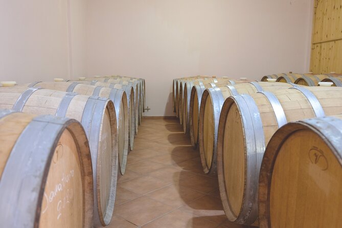 Private Tour and Tasting at Zeginis Winery - Ramnous vineyard walk: learning the vine’s current stage
