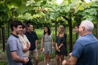 Private Tour at a Family Winery and Basque Coast Route - Getaria Harbor and Old Streets: Txakoli Country in a Compact Hour