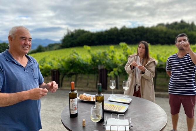 Private Tour at a Family Winery and Basque Coast Route - Price and Value: Is $476.70 Per Person Worth It?