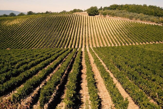 Private Tour: Chianti Winery, Montefioralle, and Greve in Chianti - Getting to the countryside: meeting at Piazza Adua and riding in comfort