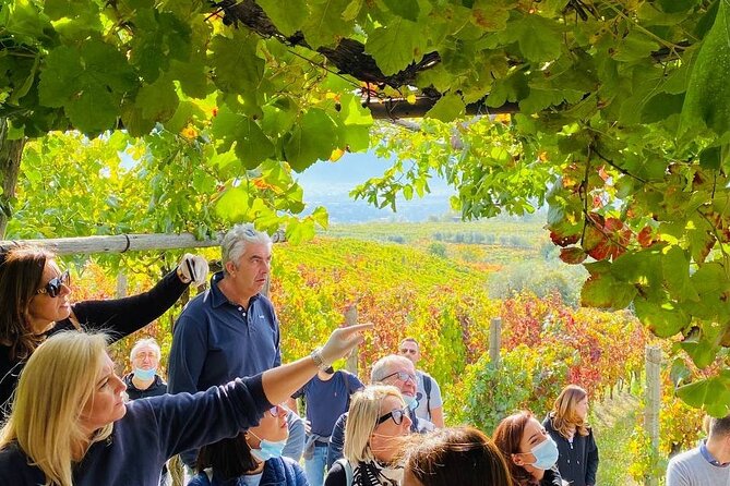 Private Tour in Pompeii Ruins and Pompeii City Center Winery - Pompeii city center stop: the Sanctuary of the Virgin of the Rosary