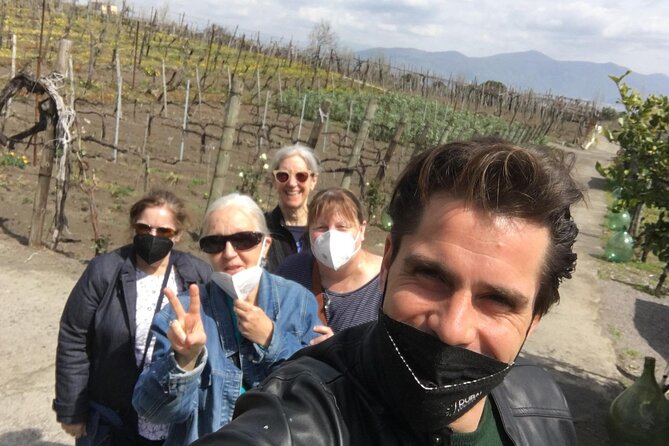 Private Tour in Pompeii Ruins and Pompeii City Center Winery - What private transportation adds (and why Tony’s service matters)