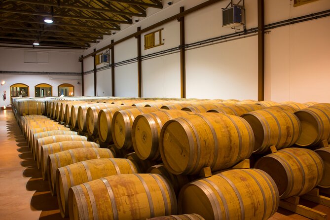 Private Tour & Lunch Of Underground Winery & Countryside Estate - A private Madrid countryside day that feels local, not staged