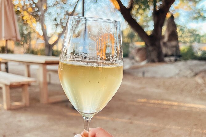 Private Tour & Lunch Of Underground Winery & Countryside Estate - Bodegas Peral underground cellar: clay jars, old methods, and a real tasting