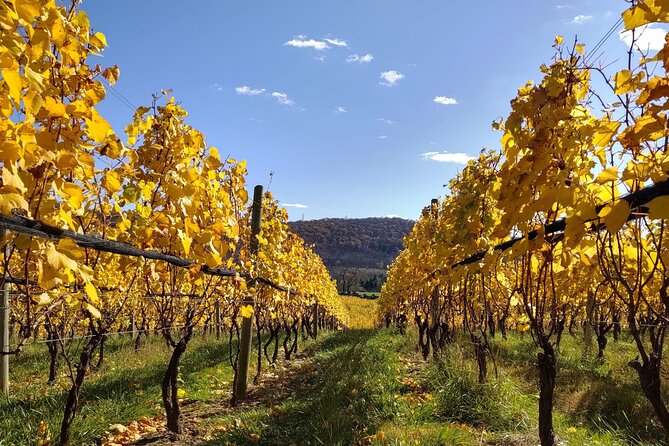Private Tour & Lunch Of Underground Winery & Countryside Estate - How the wine and tapas pairing works for your palate