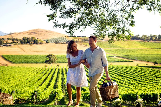 [PRIVATE TOUR] Mornington Peninsula Hot Springs | Winery & Sightseeing Tour - Paringa Estate: wine tasting with a “one-stop” flow