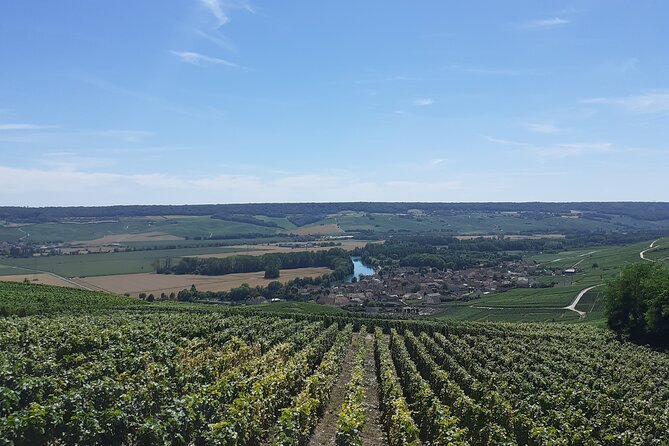 Private Tour of a Wine Estate and Oeno-olfactory Workshop - Price and Value: What You’re Really Paying For