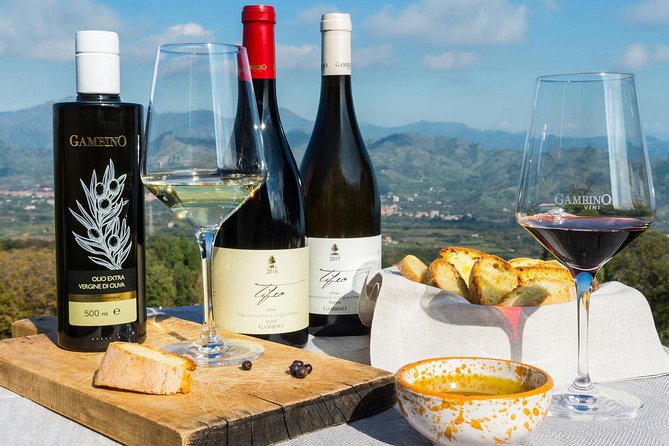 Private tour of Etna and Winery Visit with Food and Wine Tasting from Taormina - Key highlights in plain terms