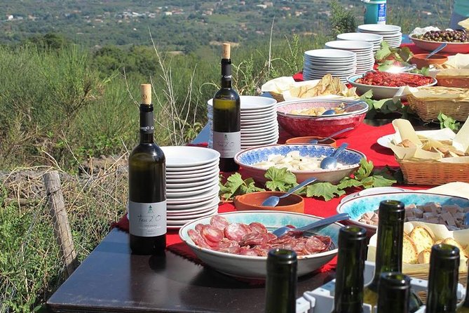 Private tour of Etna and Winery Visit with Food and Wine Tasting from Taormina - Duration and pacing: expect 5 to 8 hours of real variety