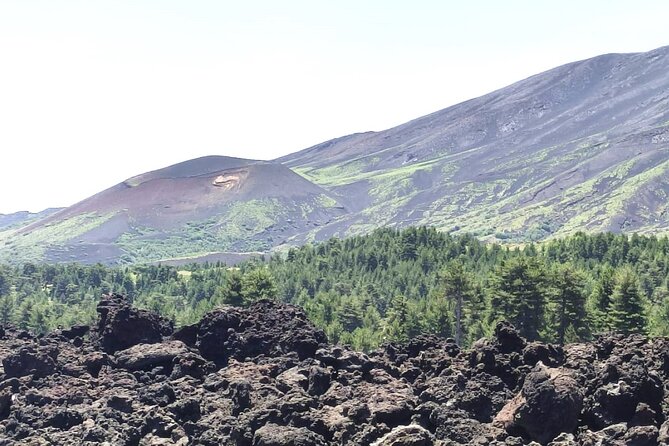 Private tour of Etna with food and wine tasting in the cellar - Your Etna day: volcano views, real food, and a cellar tasting