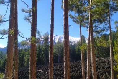 Private tour of Etna with food and wine tasting in the cellar - Optional lava-flow walk and lava tunnel: the hands-on geology moment