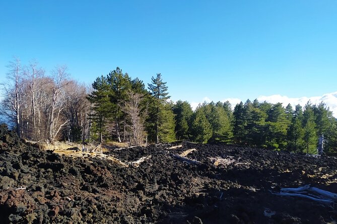 Private tour of Etna with food and wine tasting in the cellar - Price and value: is $188.17 per person fair?