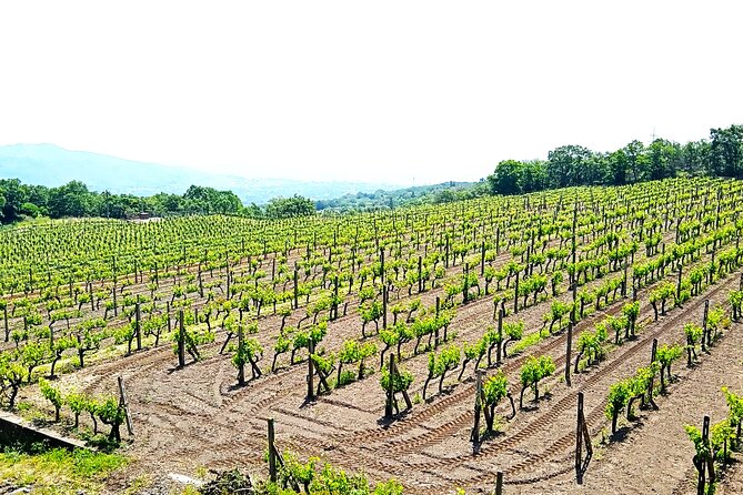 Private tour of Etna with food and wine tasting in the cellar - Guide-driven pacing: Maurizio and Mario style impressions