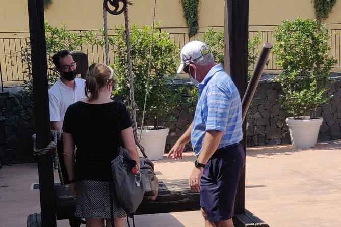 Private Tour Pompeii and Winery - Price and value: where the money goes on this Pompeii + winery day