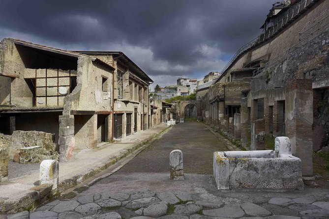 Private tour Pompeii Vesuvius and Winery from Sorrento - Pompeii Archaeological Park: 2 hours to wander real streets