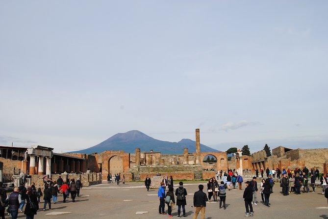 Private tour Pompeii Vesuvius and Winery from Sorrento - Winery lunch on the slopes: wine tasting, timing, and your best option if you dislike wine