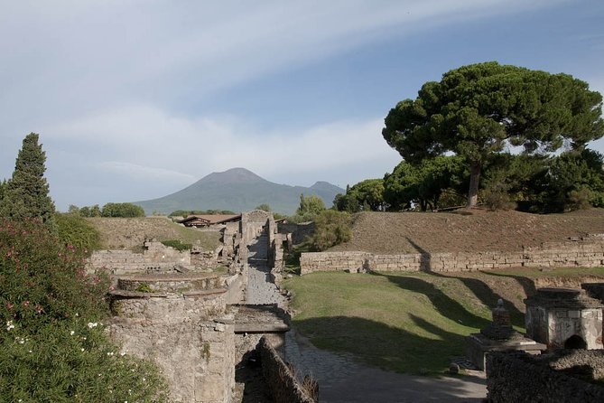 Private tour Pompeii Vesuvius and Winery from Sorrento - Photo-stop momentum: seeing Naples and Vesuvius before you even arrive