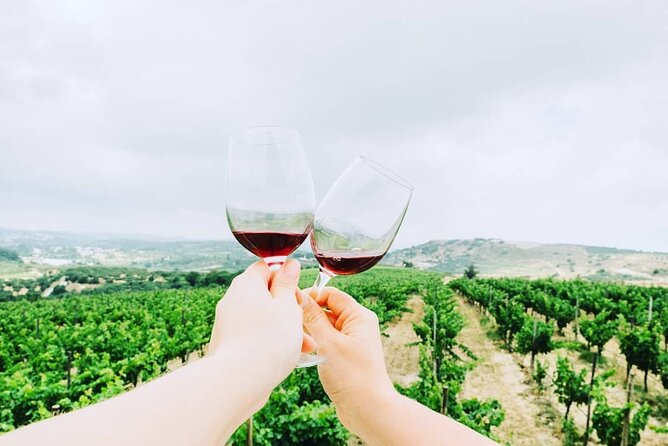 Private Tour: Soap, Olive Oil & Lyrarakis Winery with Lunch - The tasting itself: house wines, cheese, and an organized flight