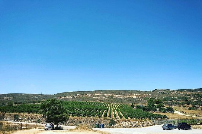 Private Tour: Soap, Olive Oil & Lyrarakis Winery with Lunch - Price and value: when $216.27 feels fair and when it doesn’t