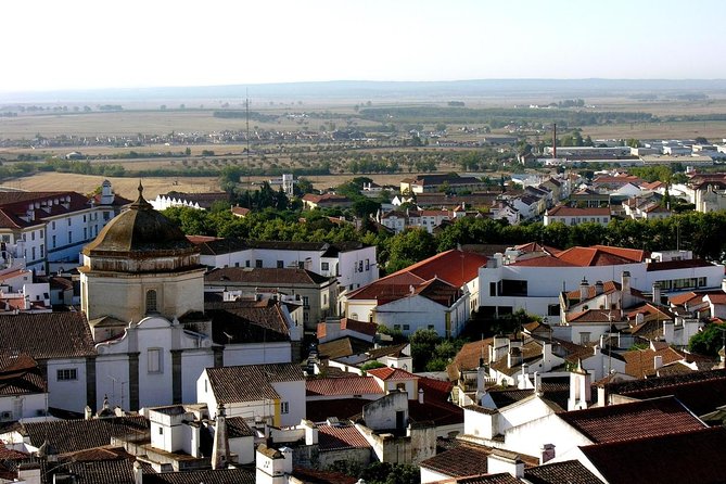 Private Tour to Evora with wine tasting at the Cartuxa Winery - Key highlights to look for