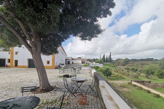 Private Tour to Evora with wine tasting at the Cartuxa Winery - Pickup, timing, and the smooth start in Lisbon