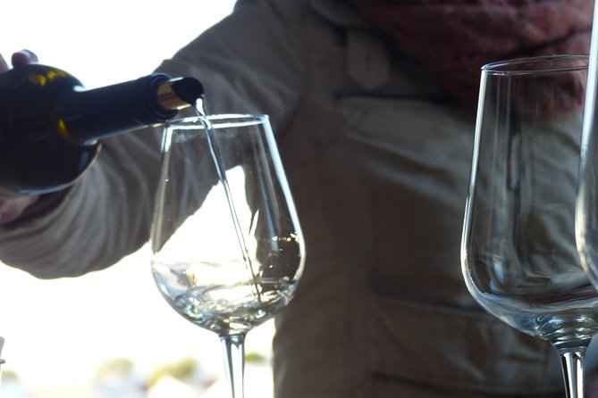 Private Tour to Evora with wine tasting at the Cartuxa Winery - Igreja de São Francisco and the Chapel of Bones: two interiors you won’t forget