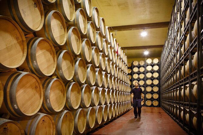 Private tour to La Rioja : Visit 2 premium wineries with lunch - Key Points Worth Knowing