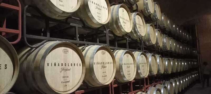 Private tour to Peña de Bernal & Freixenet Winery from CDMX - A Private Queretaro Day Trip From CDMX: what makes it work