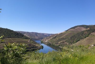 Private Tour to the rock art of Côa Park, Pinhão and Winery - Caminho da Costa: A Viewpoint Made for Reading the Valley