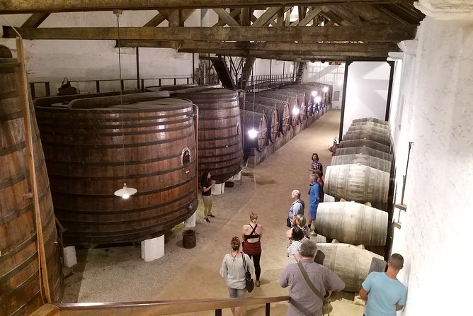 Private Tour to the rock art of Côa Park, Pinhão and Winery - UNESCO Côa Valley Rock Art: Why the Park Costs Extra