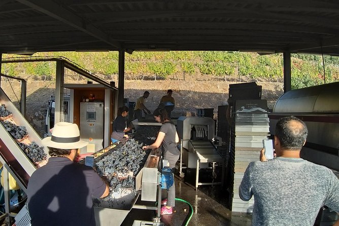 Private Tour to the rock art of Côa Park, Pinhão and Winery - Pinhão Railway Station: Tiles That Turn Into a Postcard