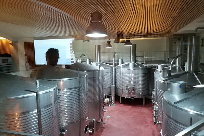 Private Tour to the rock art of Côa Park, Pinhão and Winery - Quinta Stops: Choose Your Wine Mood (Seixo vs. Bomfim)