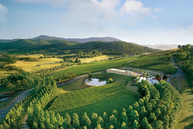 [PRIVATE TOUR] Yarra Valley Winery | Day Tour - Yarra Yering: high-end reds and dry-red focus