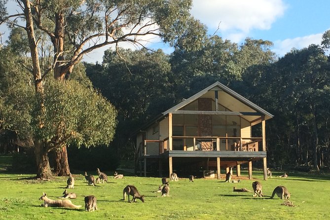 [PRIVATE TOUR] Yarra Valley Winery | Day Tour - Four Pillars Distillery: switching from wine to gin