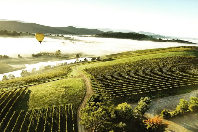 [PRIVATE TOUR] Yarra Valley Winery | Day Tour - The guide’s role: customization, info, and even side detours