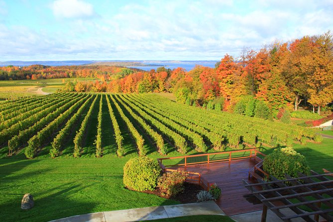 Private Traverse City Winery or Brewery Tour - Price and Value for Up to 14 People