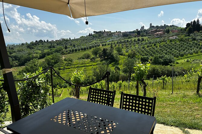 Private Tuscan Lunch with Wine & Evo oil tasting in the Vineyard - 5 Key Highlights You Can Count On