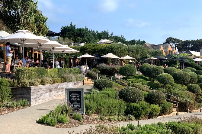 Private Vineyard Bush Walk Tour in Waiheke Island - Vineyard time at Mudbrick, Jurassic Ridge, or Cable Bay