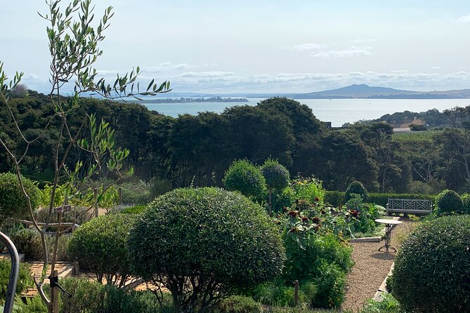 Private Vineyard Bush Walk Tour in Waiheke Island - The wine tasting setup: what’s included and how to plan your budget
