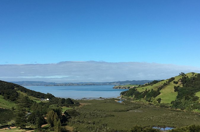 Private Vineyard Bush Walk Tour in Waiheke Island - Pace and fitness: who this suits best