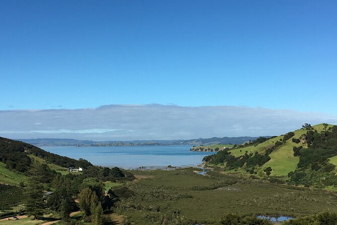 Private Vineyard Bush Walk Tour in Waiheke Island - Getting there from Auckland without stress