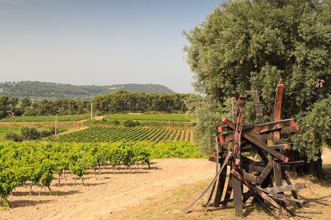 Private Vineyard Tour and Wine Tasting in Bandol - Stop in Le Castellet: medieval village vibes on the way