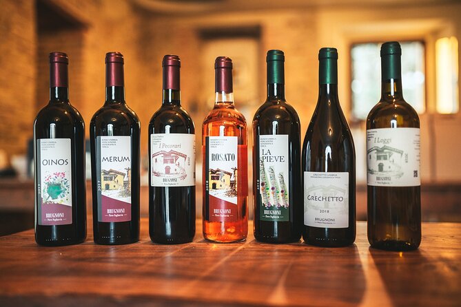 Private visit to the Brugnoni winery with tasting of 4 wines - The tasting: 4 wines (and why the portions matter)