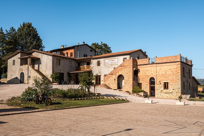 Private visit to the Brugnoni winery with tasting of 4 wines - Pairing wine with local products: turning flavors into a meal