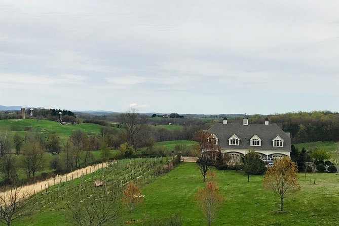 Private Washington DC Virginia Winery Wine Tasting Tour - A Stress-Free Winery Day from Washington DC