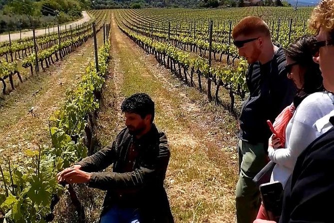 Private Wine Safari! Off-Road, Lunch in Winery in Tuscany! - The 12th-century estate stop in Chianti: learning what you’re tasting