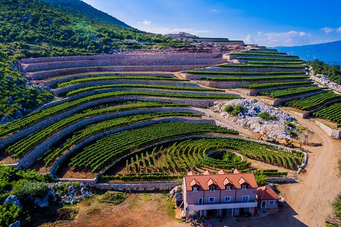 Private Wine Tasting Activity at Lipovac Winery - Key Highlights